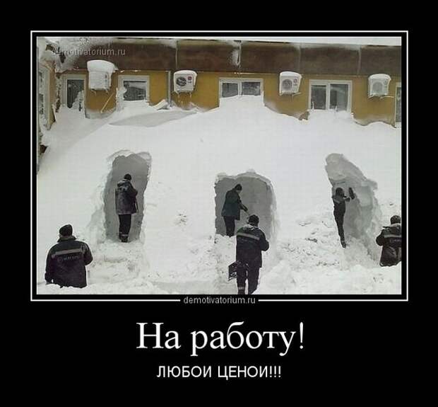 Подборка веселых и забавных демотиваторов для классного настроения