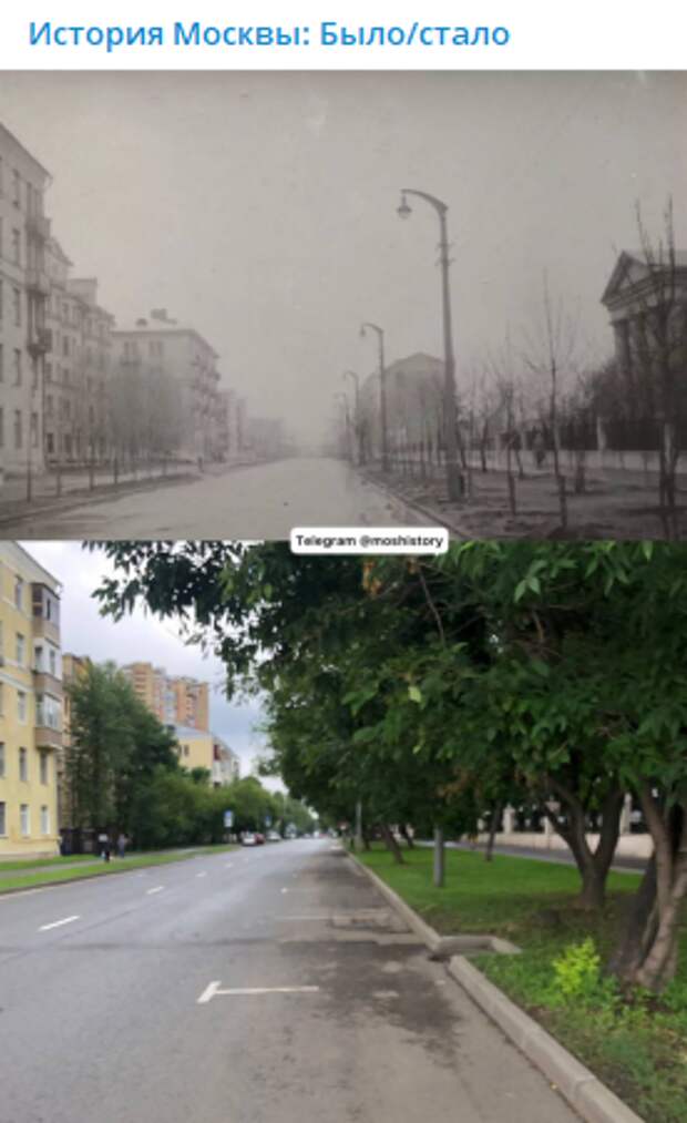 Фото дня: как изменилась часть Часовой улицы за полвека