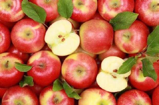 Названы болезни, от которых уберегут яблоки