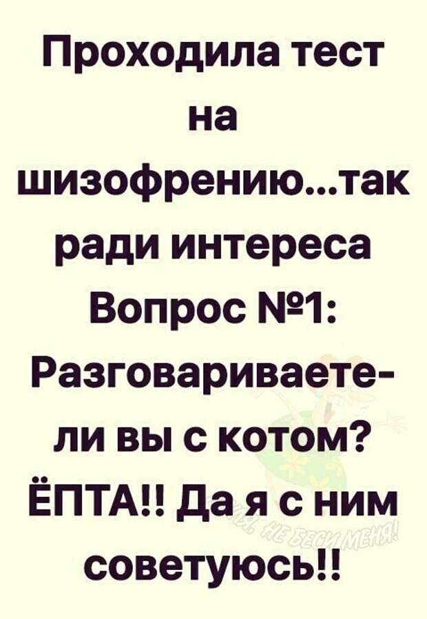 Возможно, это изображение (один или несколько человек и текст «проходила тест на шизофрению...так ради интереса вопрос №º1: разговариваете- ли вы с котом? ёпта!! да я с ним меня! советуюсь!!»)