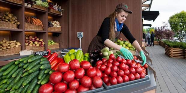 Диетолог депздрава призвала москвичей есть больше овощей и фруктов. Фото: mos.ru