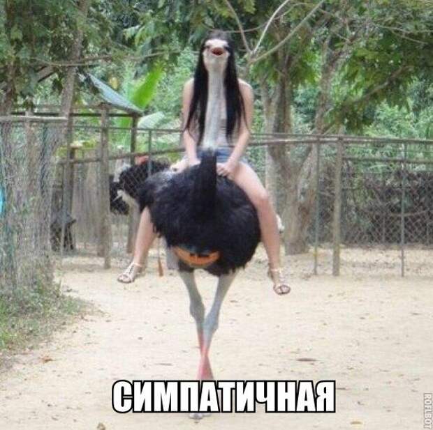 Приколы Приколы