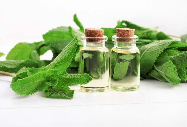 Mint herb and aroma oil bottles