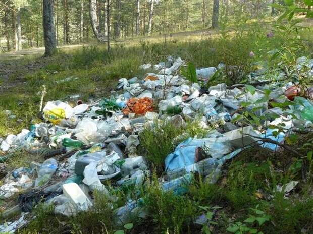 Давно живем за границей, и вот приехали к маме погостить. Настолько злой я не была никогда…