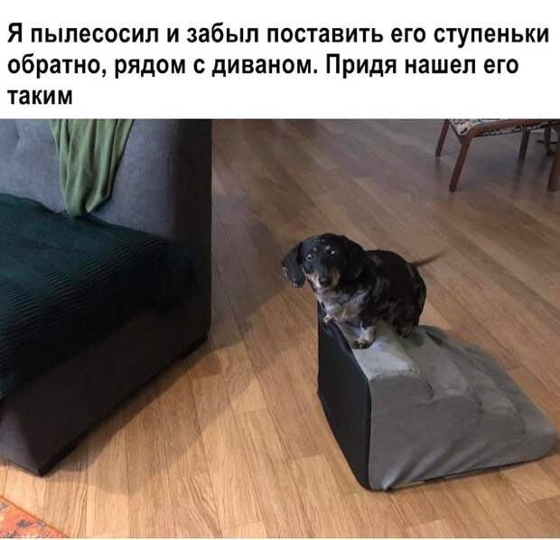 Свежие мемы и картинки 