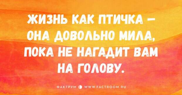 30 смешных открыток от мастеров тонкой иронии