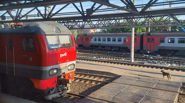 Насколько поезда станут дороже: Новые правила РЖД с 2026 года