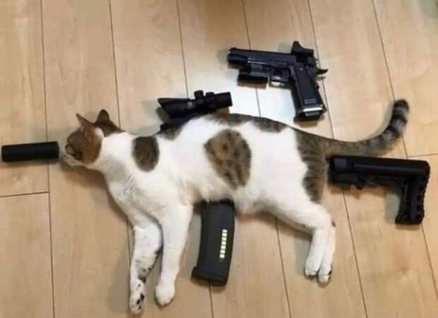 Подборка прикольных картинок