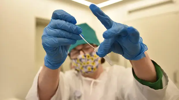 Свыше 280 миллионов тестов на COVID-19 провели в России