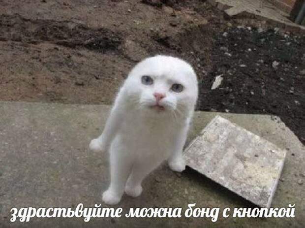 Нестандартный юмор :)