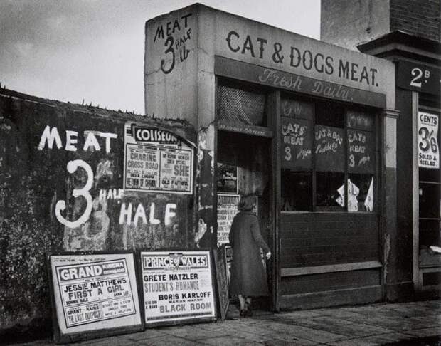 Торговцы кошачьим мясом в Лондоне: не то, что вы подумали интересно, история, котовладельцы, кошачий корм, кошки, лондон, познавательно, торговля