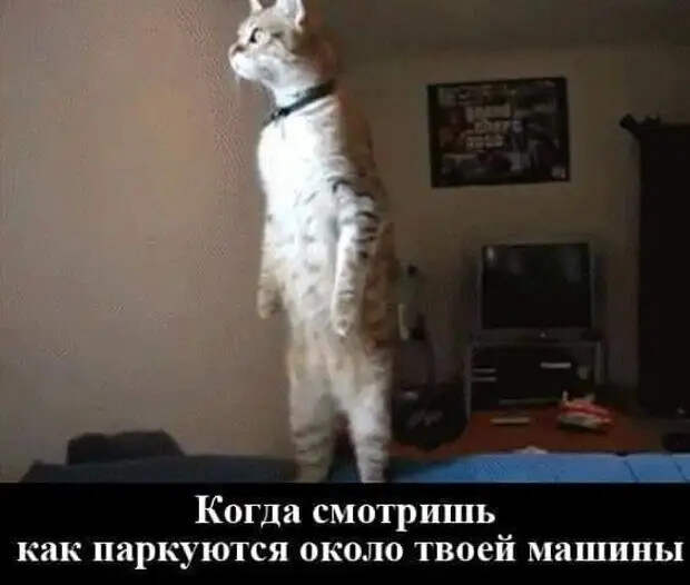 Ну что вы все докопались до этой несчастной уборщицы из "Газпрома"?...