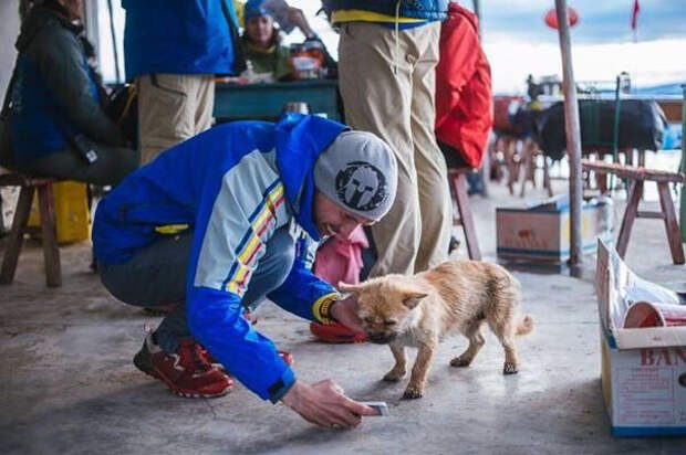stray-dog-joins-race-gobi-dion-leonard-china-6