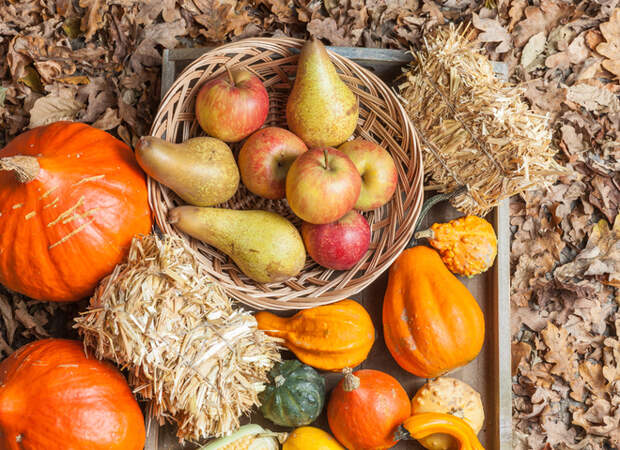 Сезонные продукты: что покупать в сентябре и на чем можно сэкономить