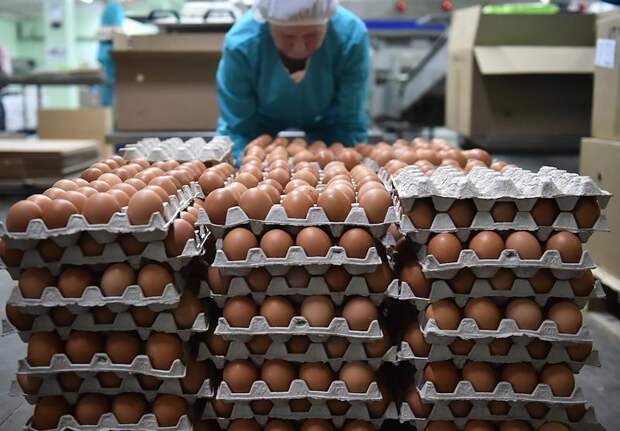 Российские яйца ворвались на арабский рынок