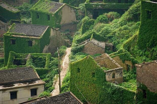 Деревня, проигравшая схватку с природой китай, хоббит, фотография, необычное, лучшее, растения, красота, длиннопост