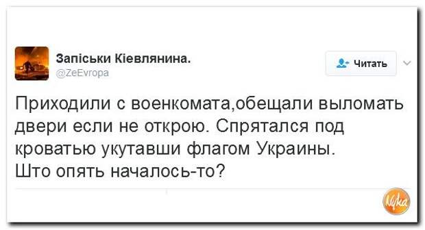 Политические комментарии соцсетей - 66 анти, история, политика, факты, юмор