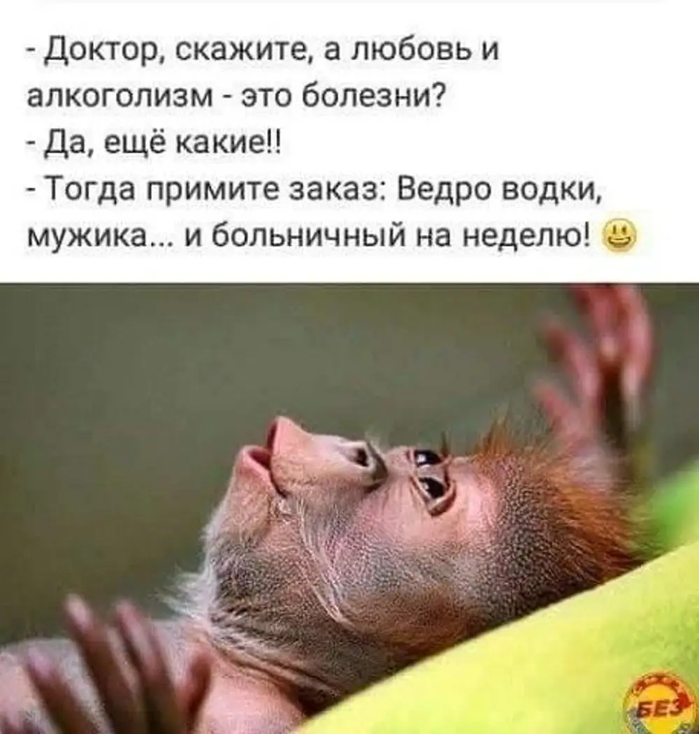 Завтра суббота картинки прикольные для поднятия настроения