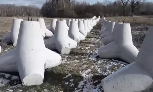 Суд вынес приговоры фигурантам дела о хищении денег на курских фортификациях