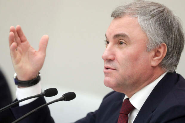 Володин сообщил о расширении поддержки многодетных семей и участников СВО в мае