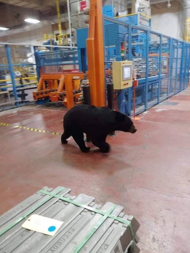 Подборка прикольных картинок