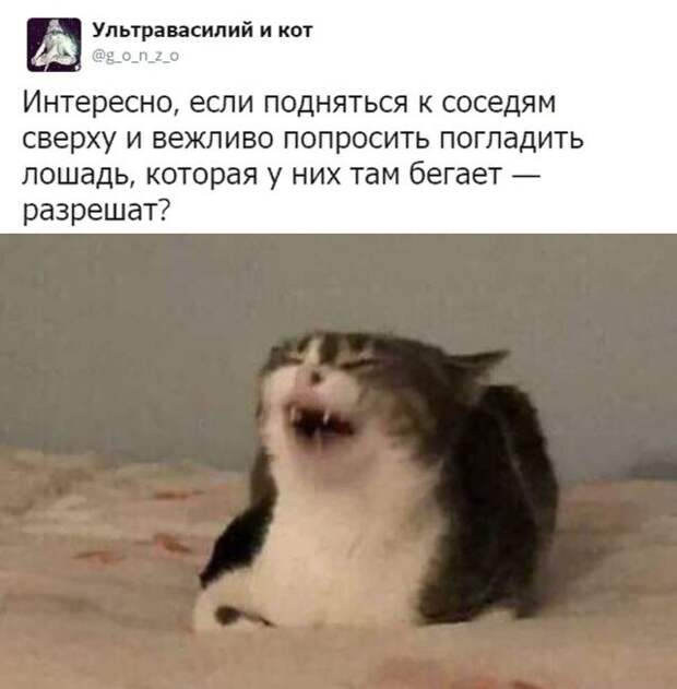 Шутка про соседей и топот