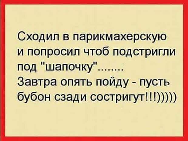 Несколько весёлых анекдотов для отличного настроения