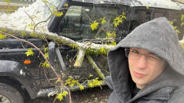 В Москве на новый автомобиль рэпера Славы Мэрлоу рухнуло дерево