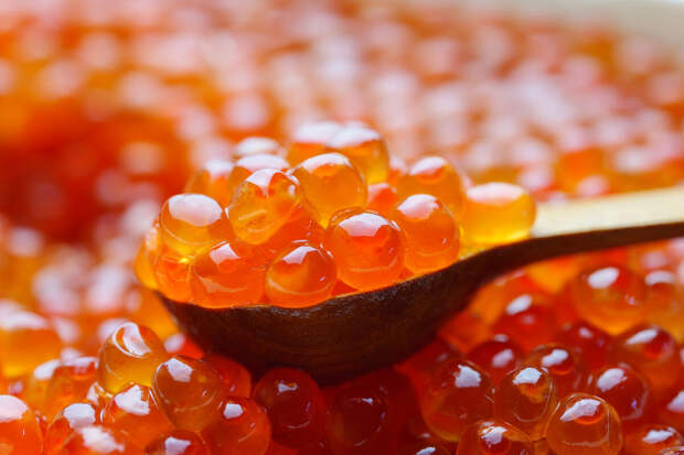 Химик Дорохов: икра в стеклянной банке — не всегда лучший выбор