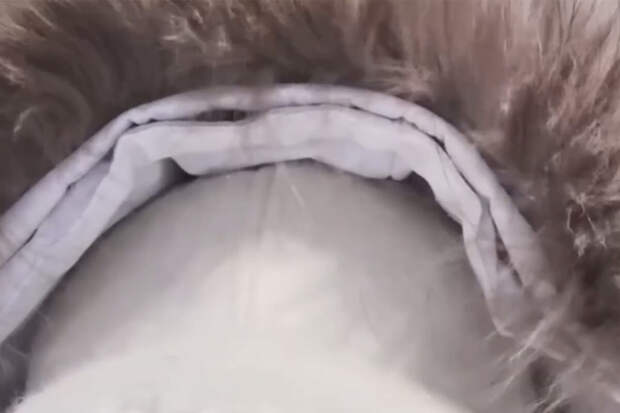 Певица Вика Цыганова опубликовала видео, как грызет лед с озера Байкал