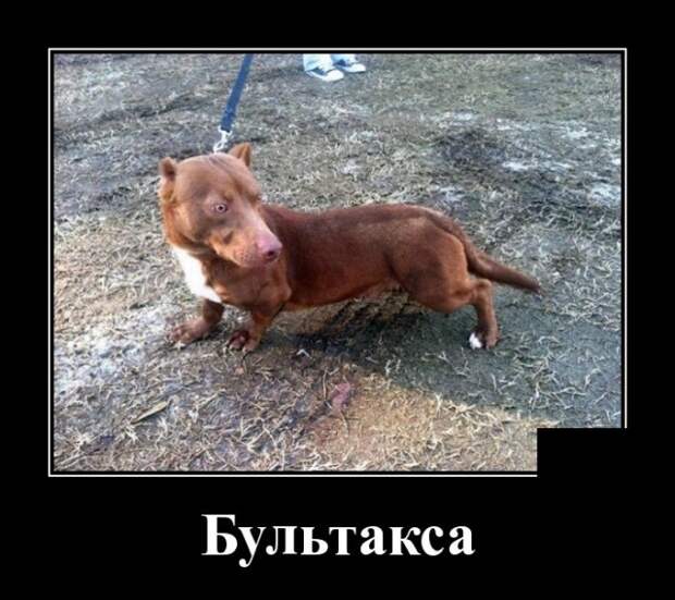 www.vsyako.net