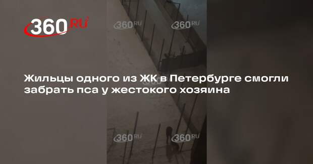 Жильцы одного из ЖК в Петербурге смогли забрать пса у жестокого хозяина