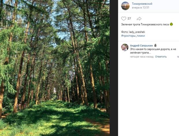 Фото дня: зеленая тропа в Тимирязевском лесу
