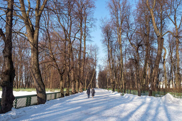 В Петербурге в четверг, 5 декабря, будет минус 4 градуса