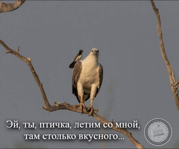 Летим со мной