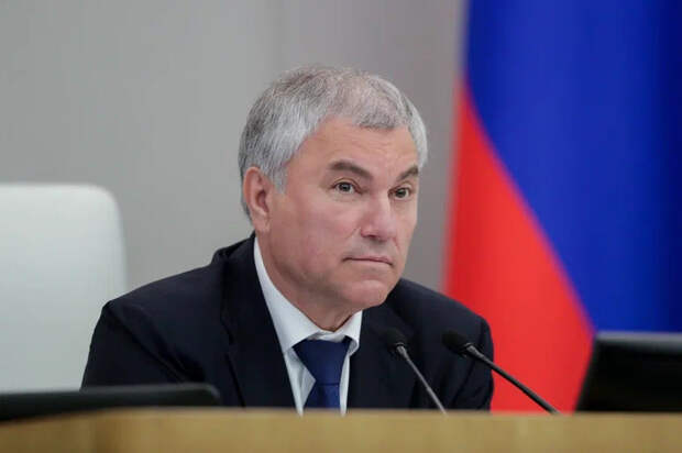 Володин: ГД приняла закон для защиты граждан от интернет-мошенников