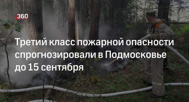 Третий класс пожарной опасности спрогнозировали в Подмосковье до 15 сентября