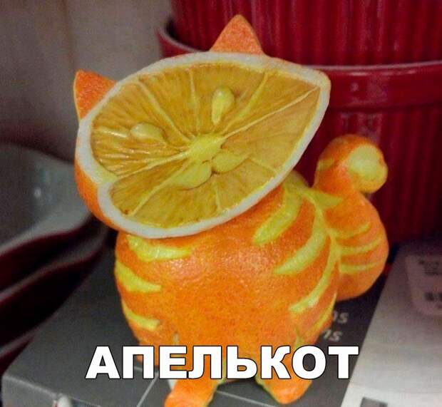Прикольные картинки с надписями для веселья (11 фото)
