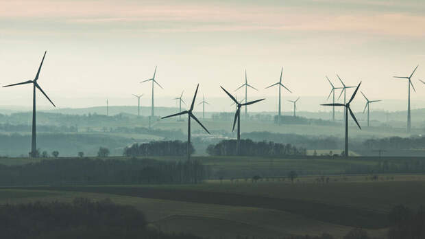 Трамп заявил, что ветряные электростанции убивают миллионов птиц