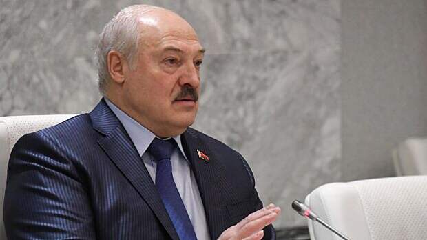 Лукашенко заявил об уменьшении поголовья свиней в Белоруссии за два года более чем на 11%