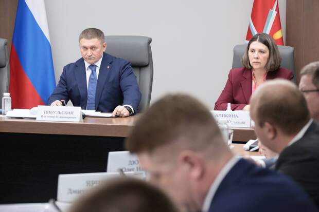 В Тульской области из-за снегопада зафиксированы отключения электроэнергии в двух районах