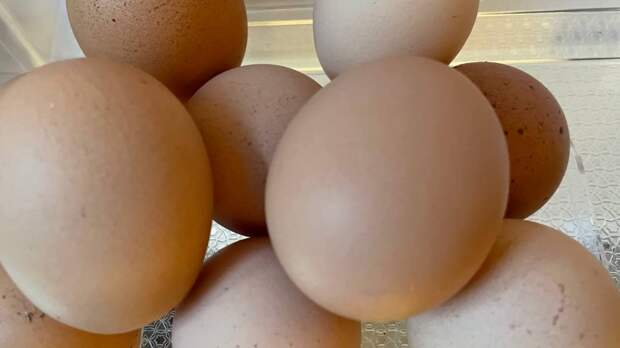 Выяснилось, сколько яиц можно съедать в неделю без вреда для здоровья