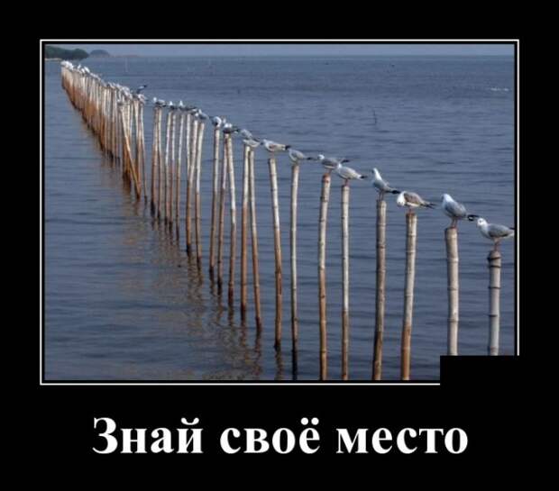 www.vsyako.net