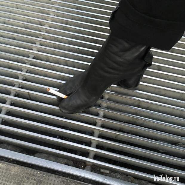 Приколы (55 фото)