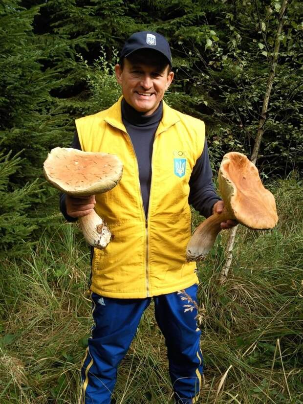 Бывший глава Администрации президента Украины, Виктор Медведчук, демонстрирует, какие огромные грибы ему удалось заполучить грибы, знаменитости, лес, осень