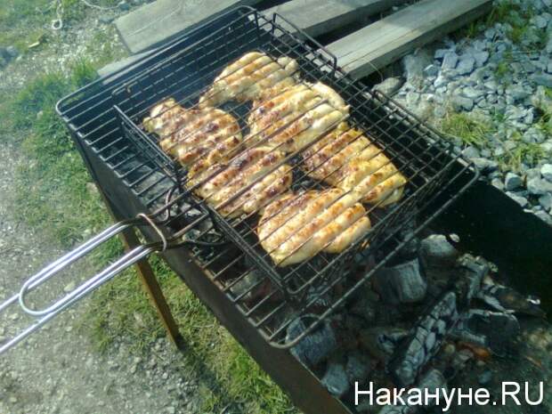 шашлыки, мясо, мангал(2018)|Фото: Накануне.RU