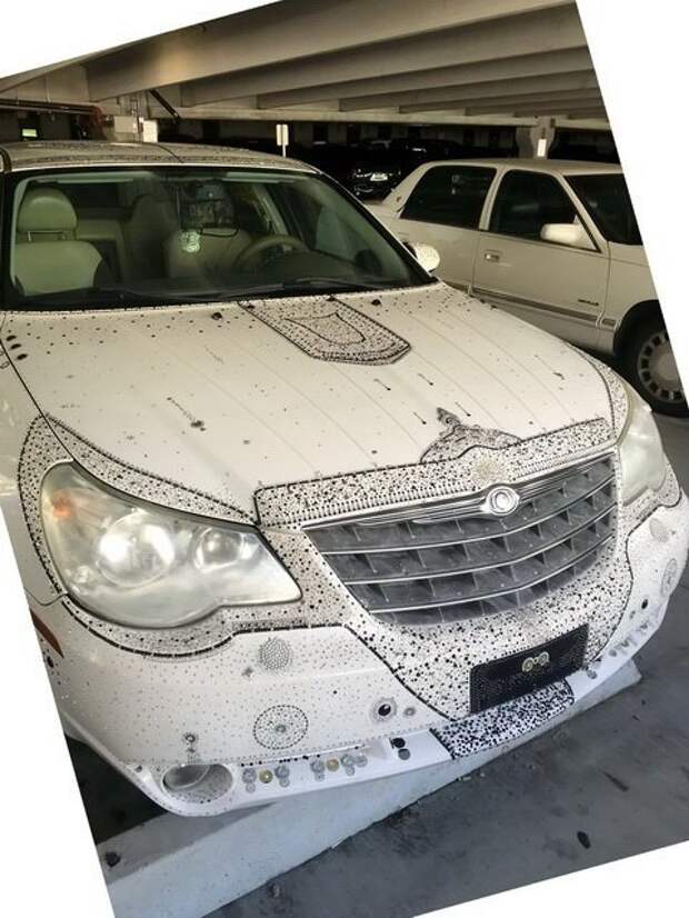 Автовсячина Автовсячина, авто, автомобиль, автоприкол, машина, прикол