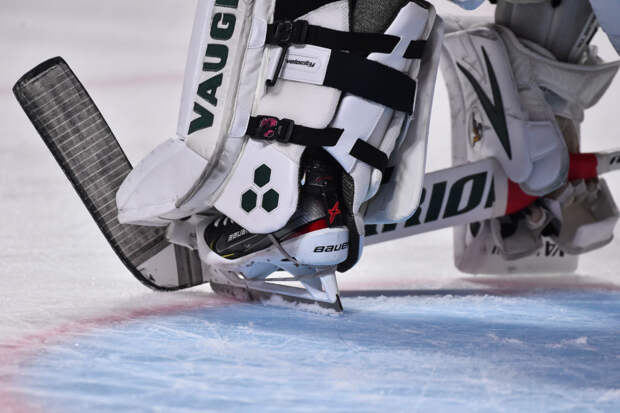 Mikayla Demaiter hockey goalie