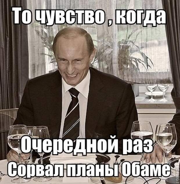 Смешные картинки с надписями прикол, юмор