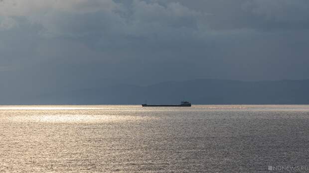 Патрушев: Военно-морской флот обеспечивает безопасность российского судоходства